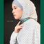 The Land - Salam